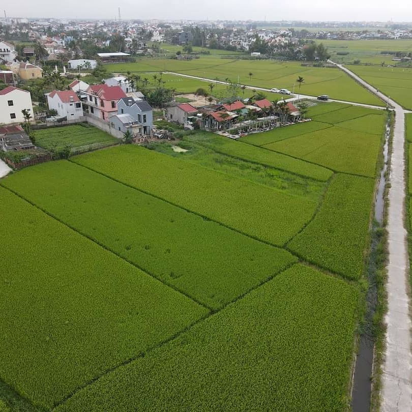 Roving Chillhouse - Lạc lối giữa cánh đồng lúa thơ mộng của Hội An cùng 9x Đỗ Phương