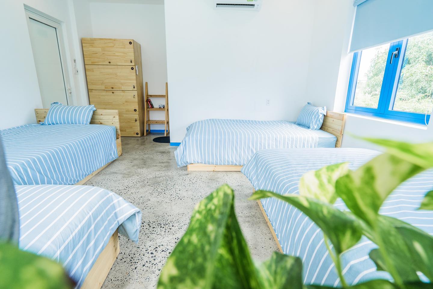 Dính thính Santori Homestay Hội An - Vẻ đẹp bình yên, buông nắng ở Hội An