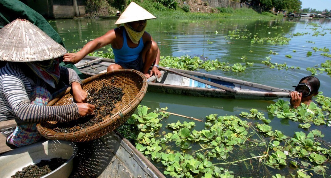Khám phá Cồn Hến Huế - Đảo nhỏ mộng mơ giữa lòng sông Hương