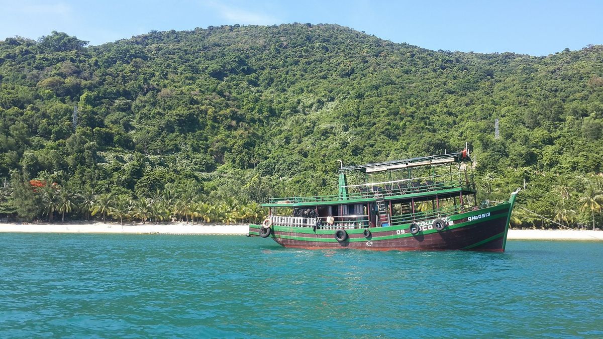 Một ngày hóa thân thành người con của biển cả và lặn ngắm san hô tại Cù Lao Chàm