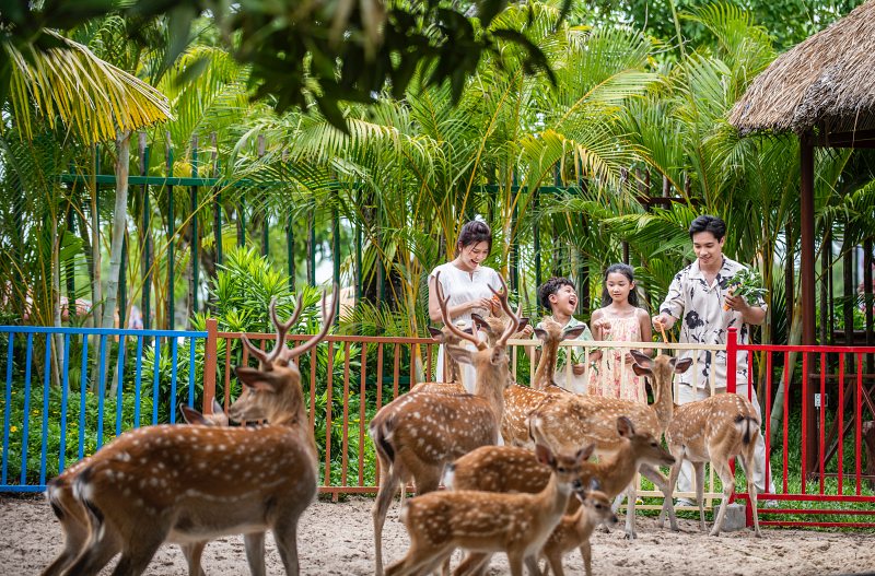 Chuyến dã ngoại thực tế đầy ắp “Wonder” tại VinWonders Nam Hội An - đơn vị hỗ trợ