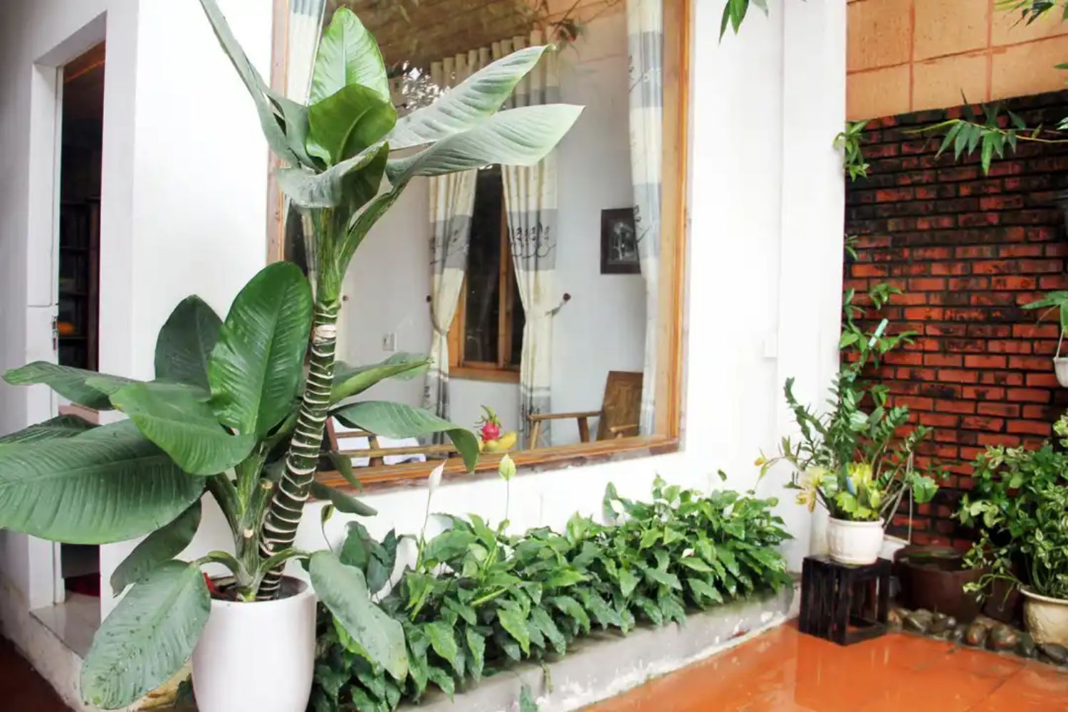 ABS House Huế là ngôi nhà nhỏ ven bờ sông Hương êm đềm